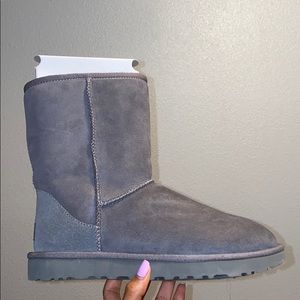 Classic short ugg boots worn once